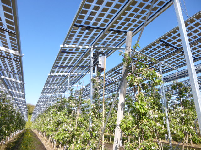 Agri-PV Anlage in Kressbronn am Bodensee