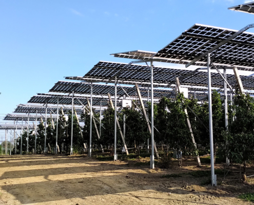 Eine Agri-PV Anlage über einer Apfelplantage in Kressbronn am Bodensee, gebaut von MR Energiesysteme, Gunzenhausen