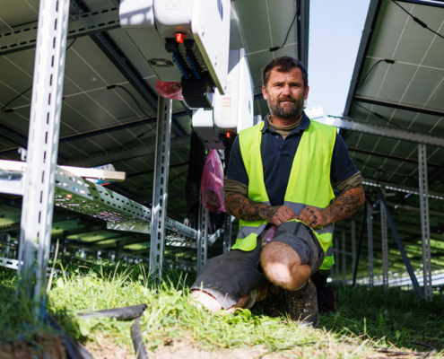 Photovoltaikanlage auf einer Freifläche und auf der Überdachung eines Parkplatzes, Schwan Cosmetics, Heroldsberg bei